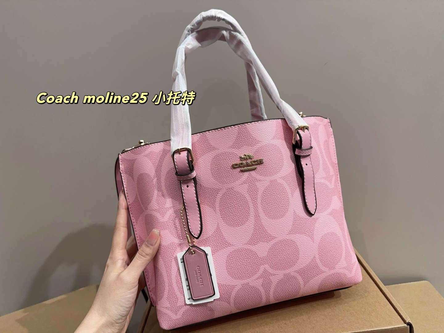 Coach moline25 small tote