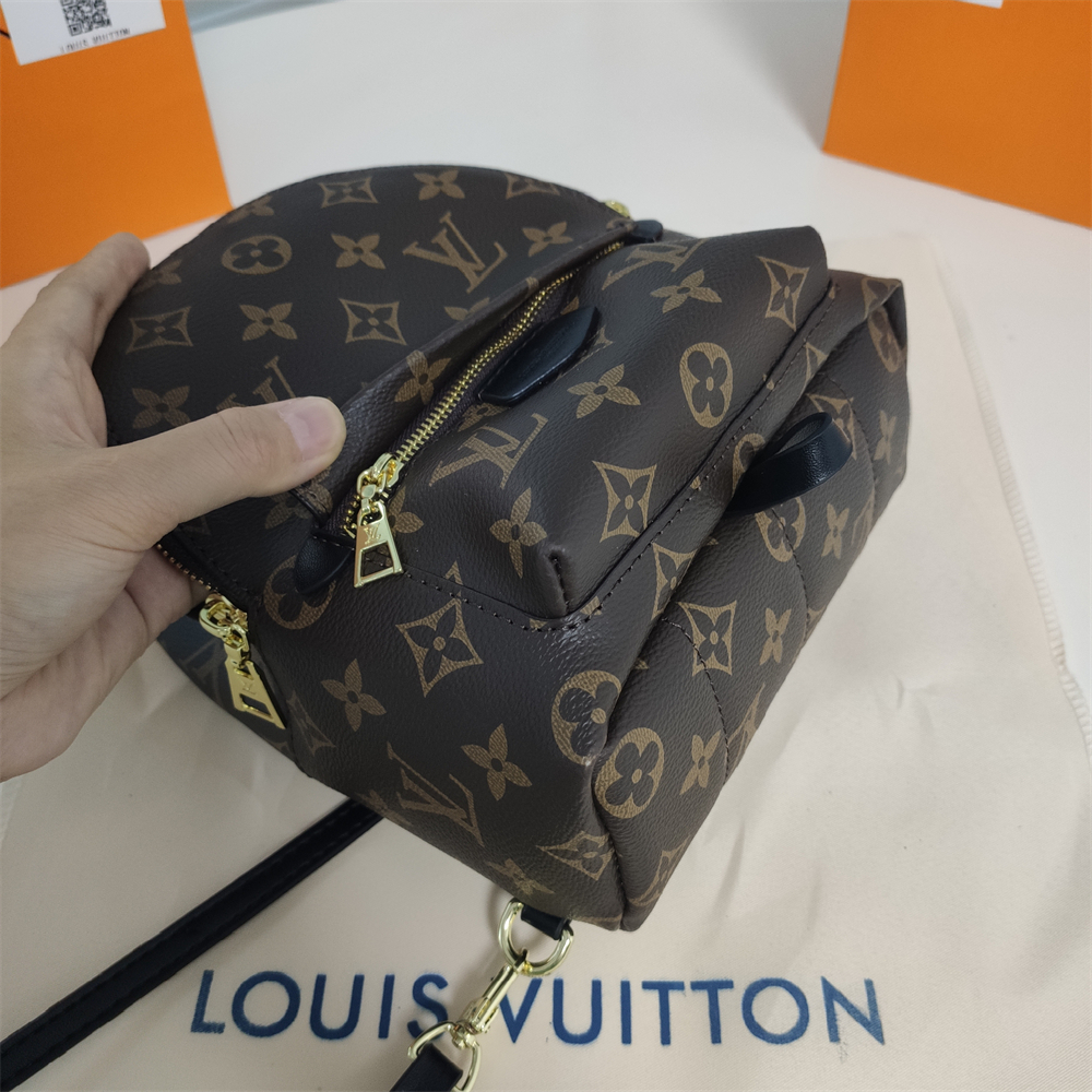 LV Louis Vuitton Palm Springs Backpack