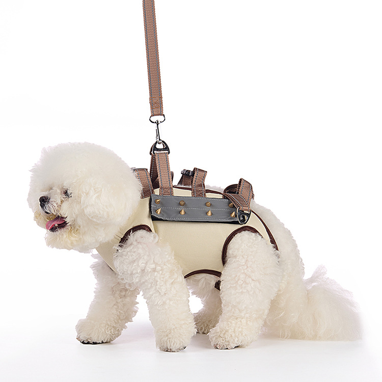 Pet harness/collar