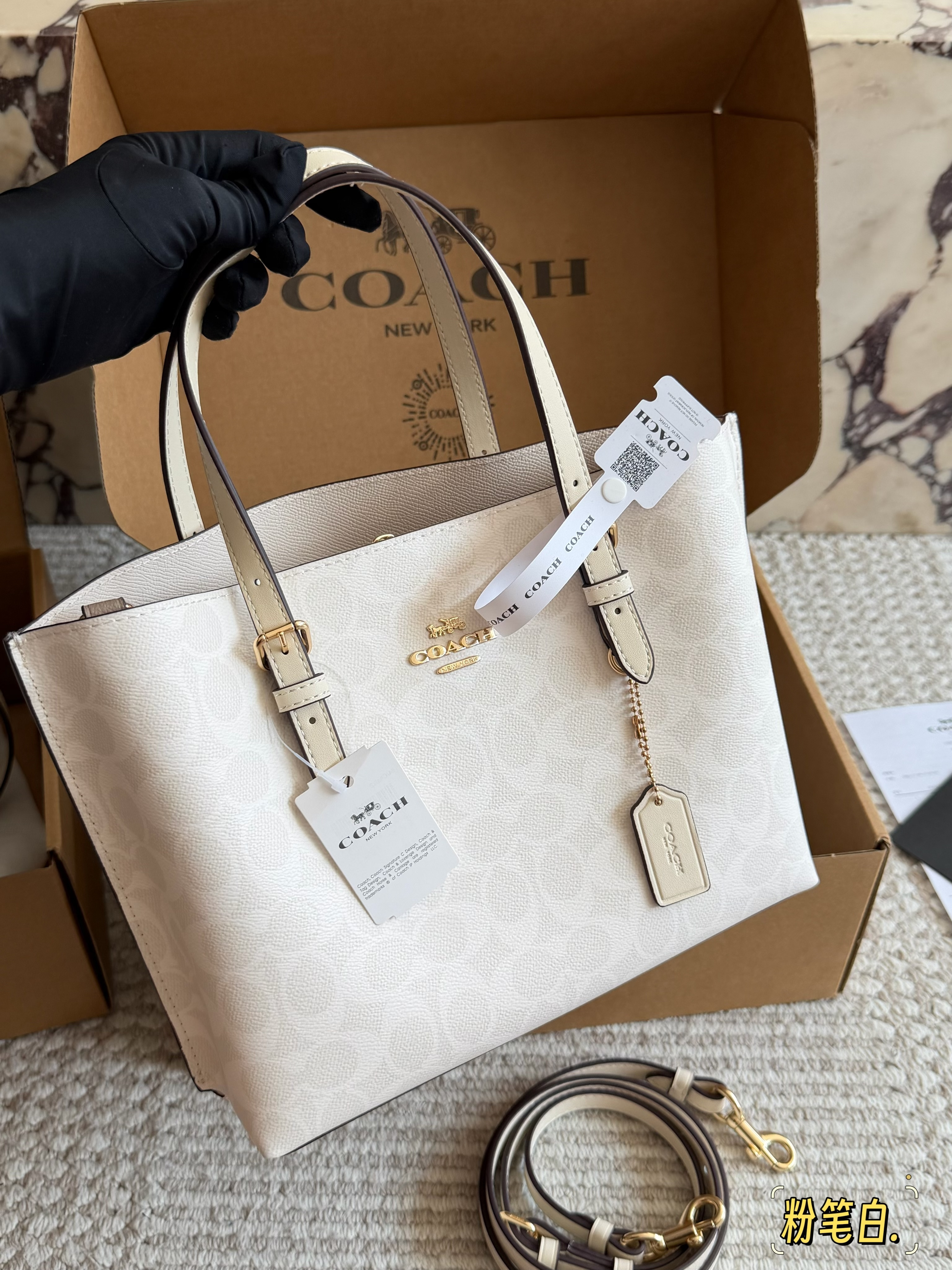 coach Mollie  tote25 bag