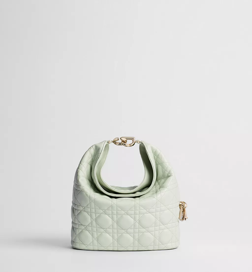 Dior small bag, Dior Toujours Hobo handbag