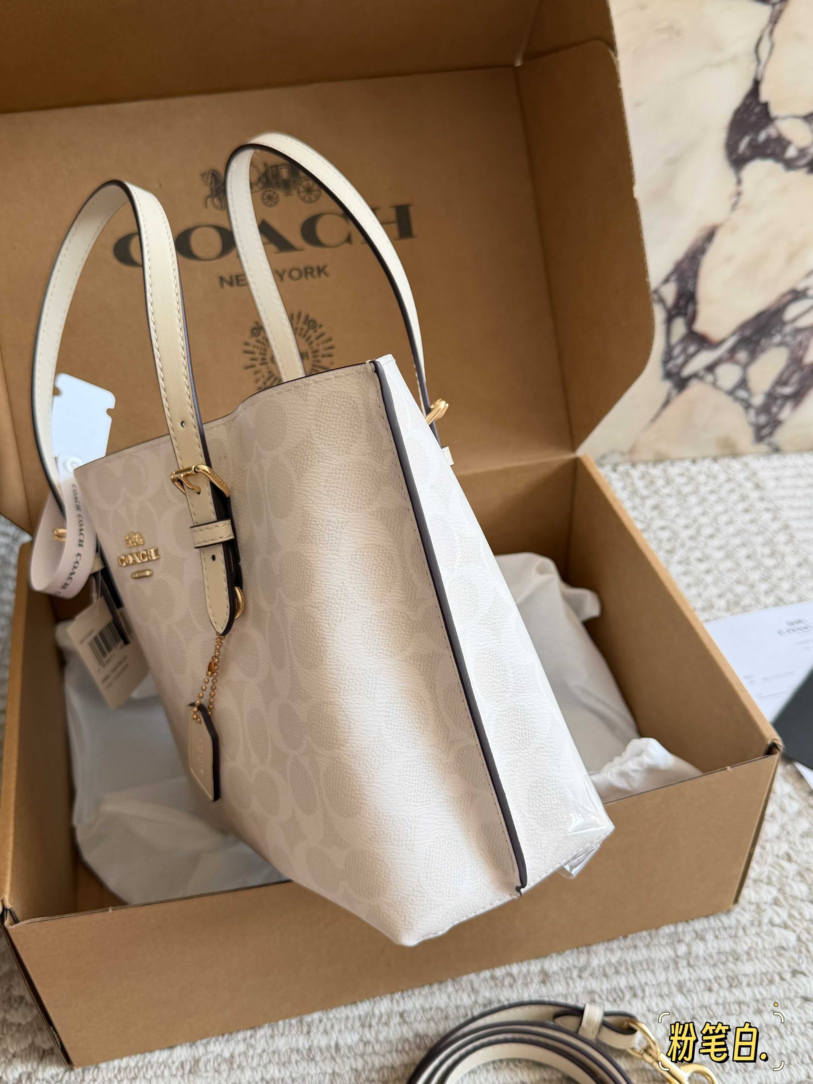 coach Mollie  tote25 bag