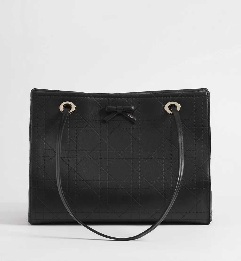 Dior bags,medium sizes; Dior Promenade tote bag.