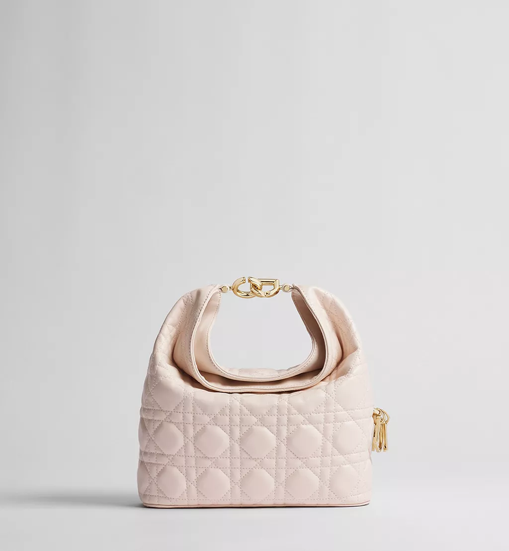 Dior small bag, Dior Toujours Hobo handbag