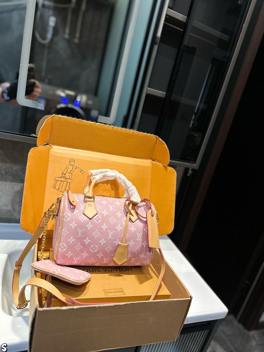 LV Speedy travel bag