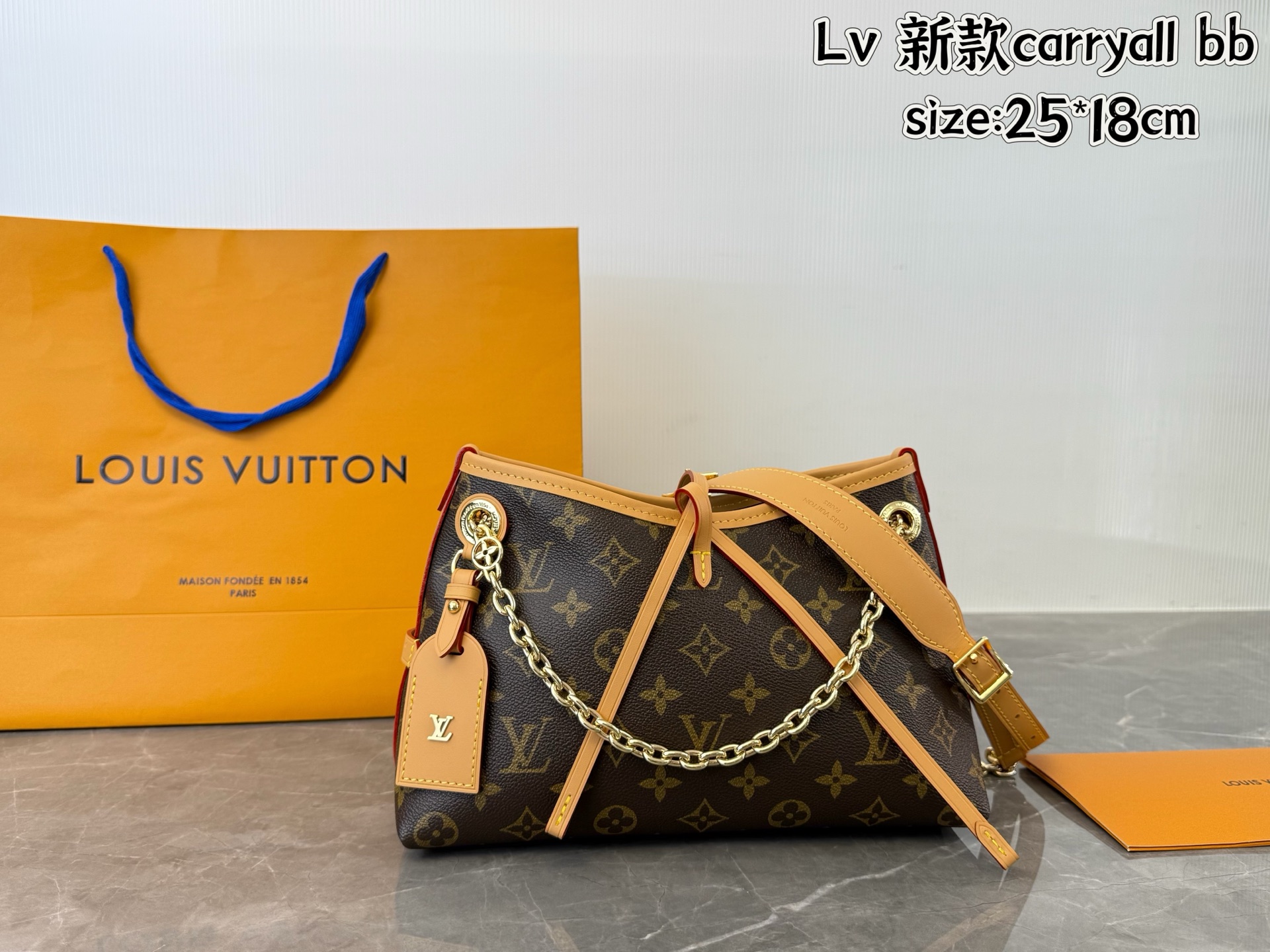 Lv carryall bag
