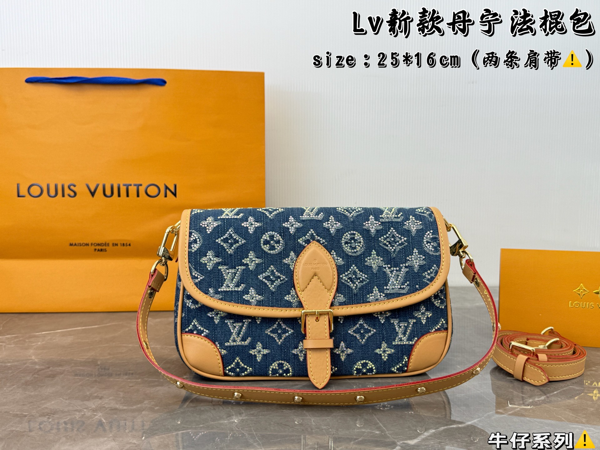 LV Denim Baguette Bag