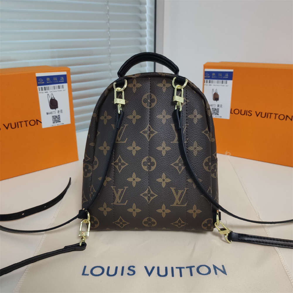 LV Louis Vuitton Palm Springs Backpack