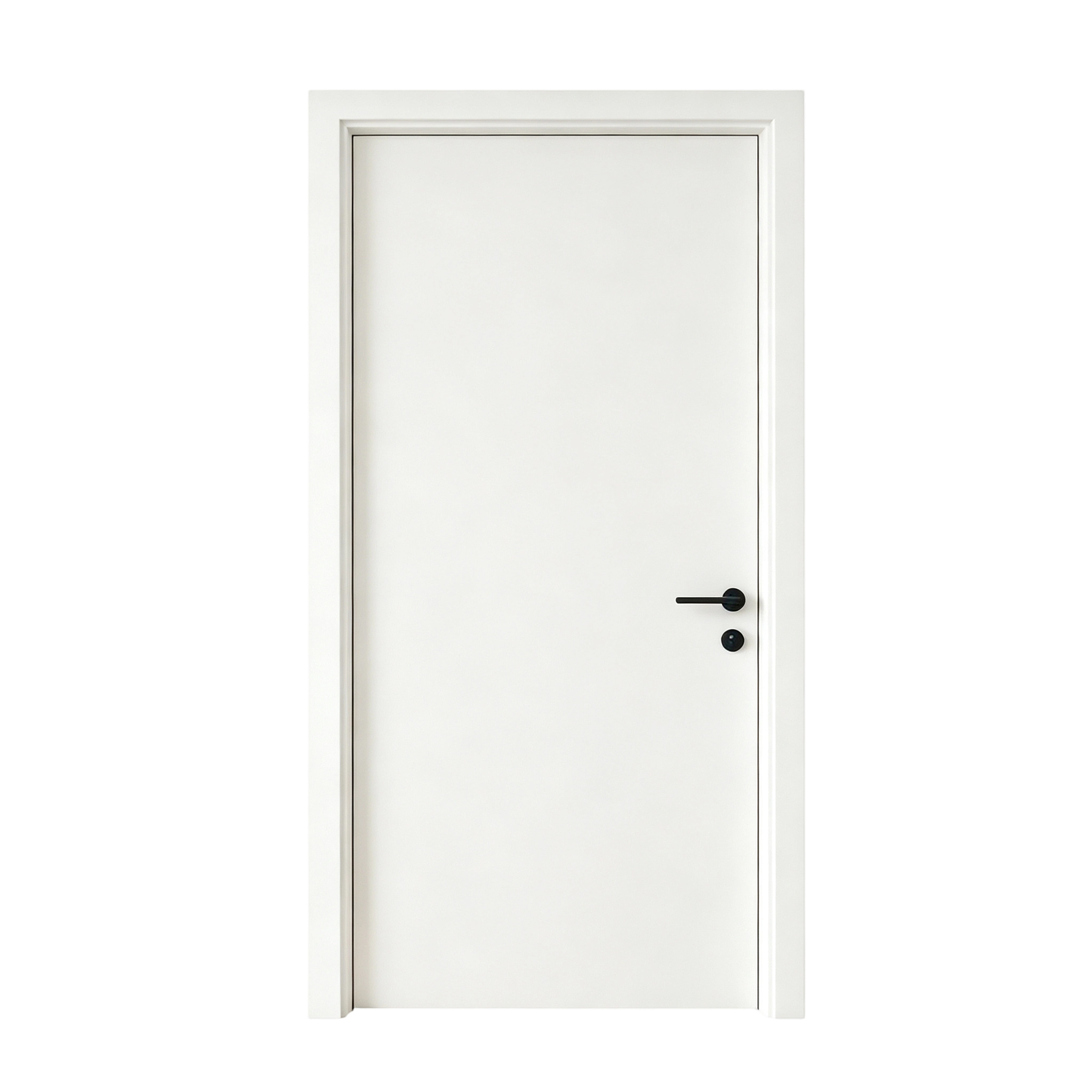 Minimalist Flat Panel Door