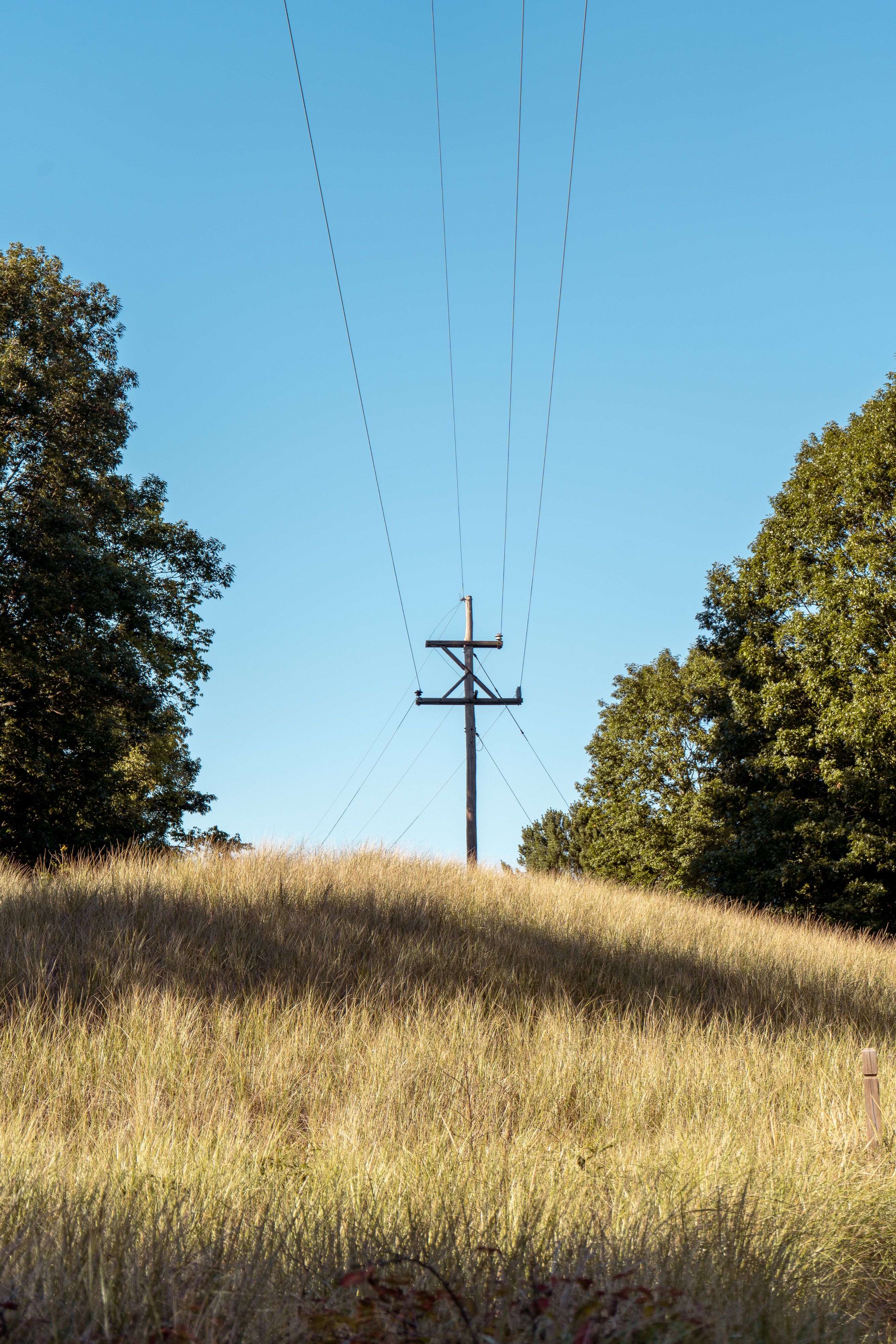 Utility Distribution