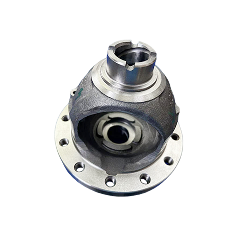 Differential Case 01