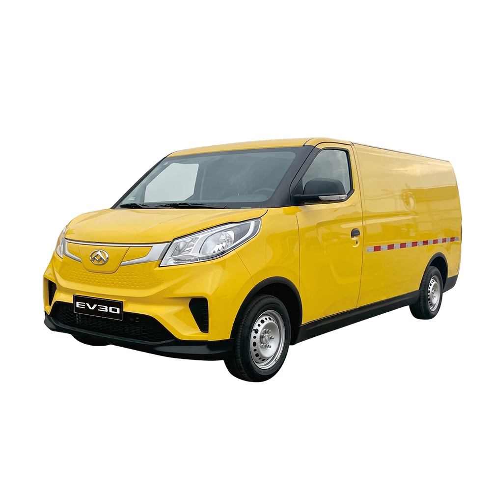 EV30 Logistics Van
