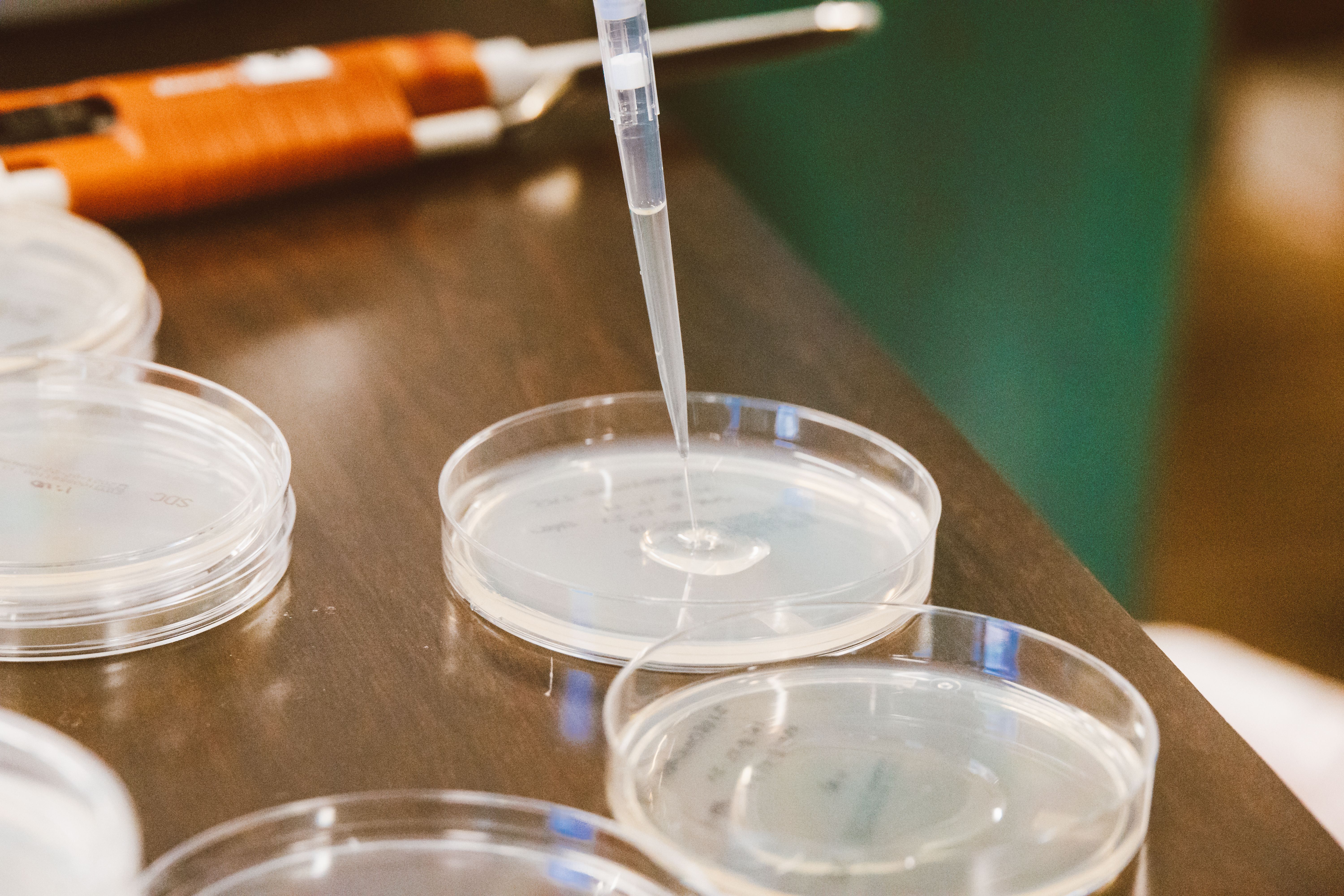 Genetic Breeding & Animal Reproduction
