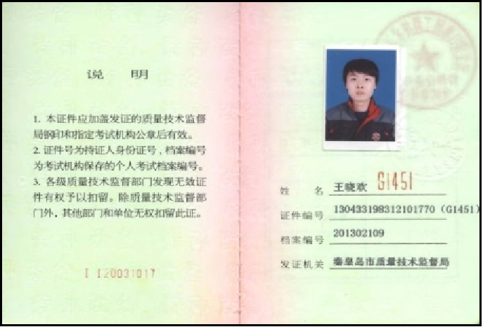 Taidy Landscape Certificate 1