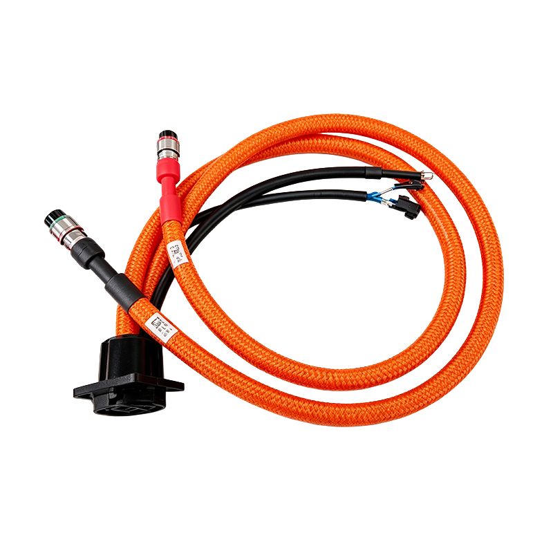 Automotive power cord