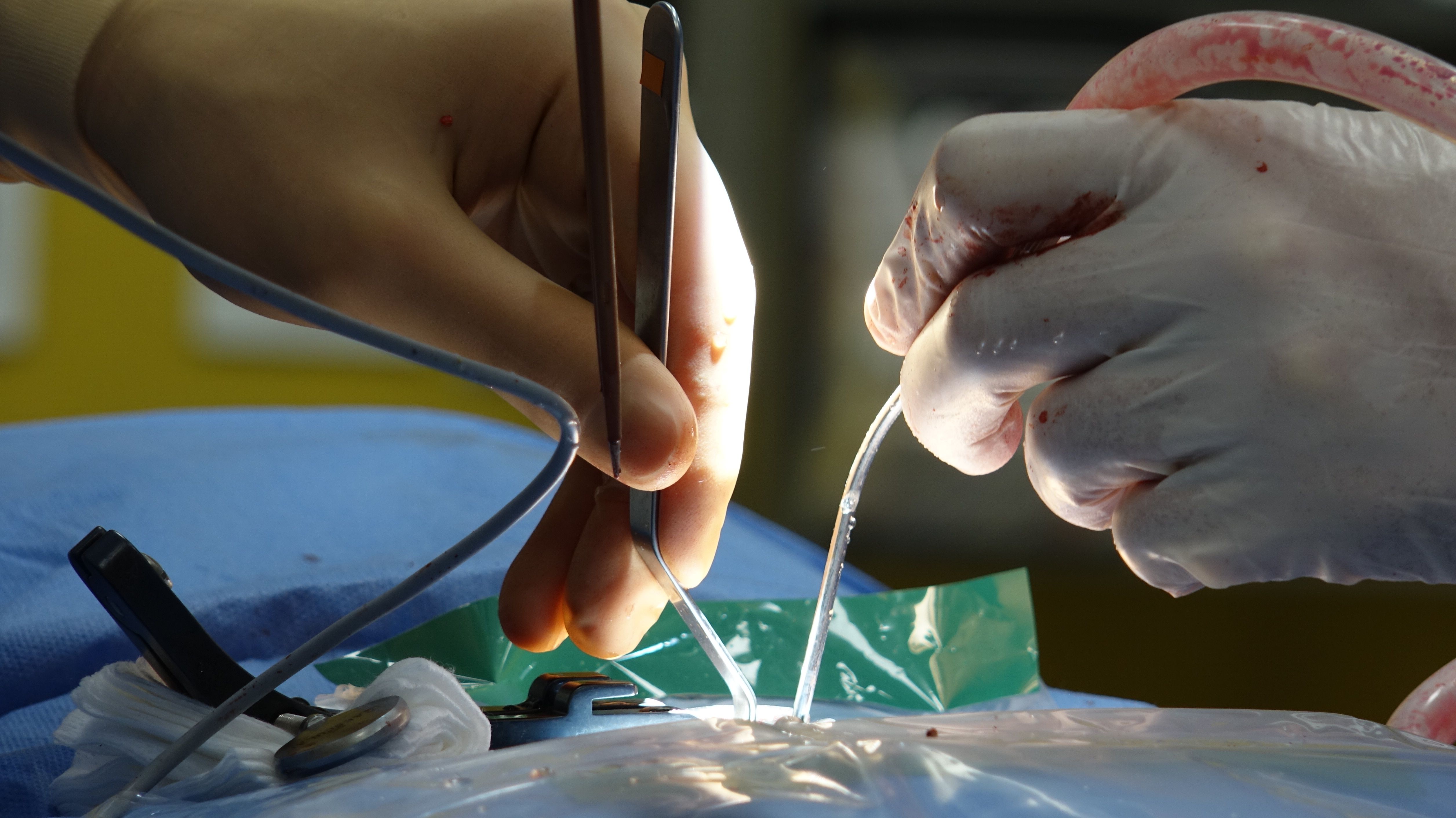 Surgical Drainage & Wound Care