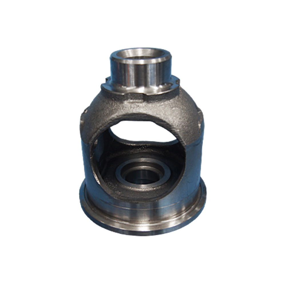 Differential Case 01