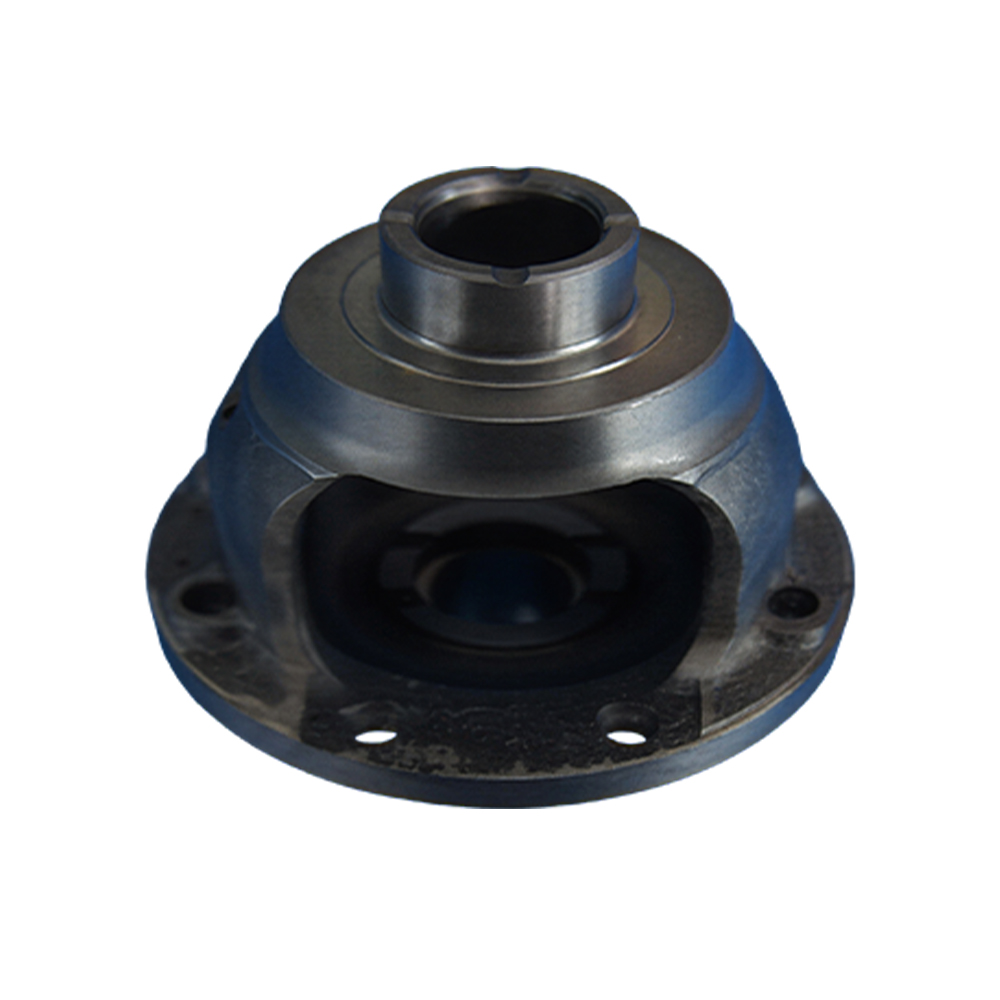 Differential Case 02
