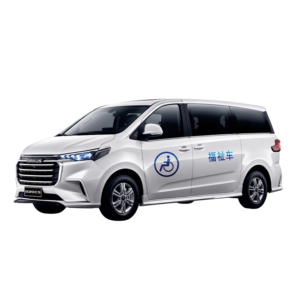 G20 ES Welcab