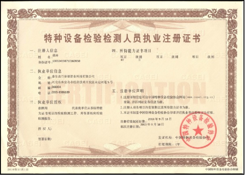Taidy Landscape Certificate 2