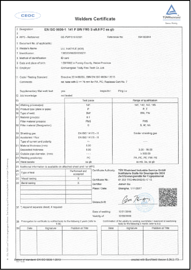 Taidy Portrait Certificate 3
