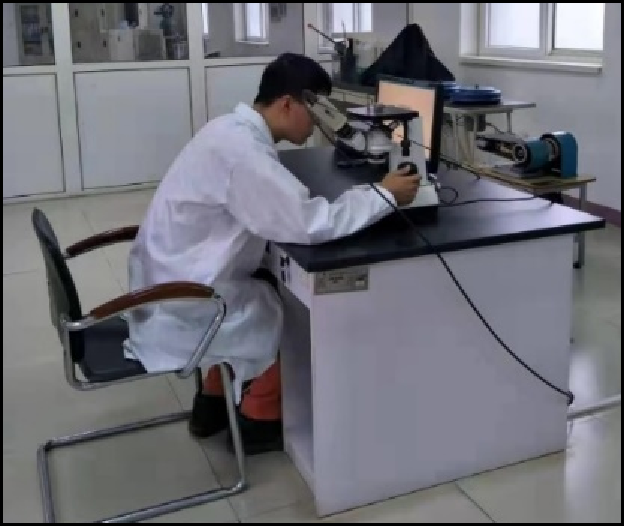 Grain size inspection
