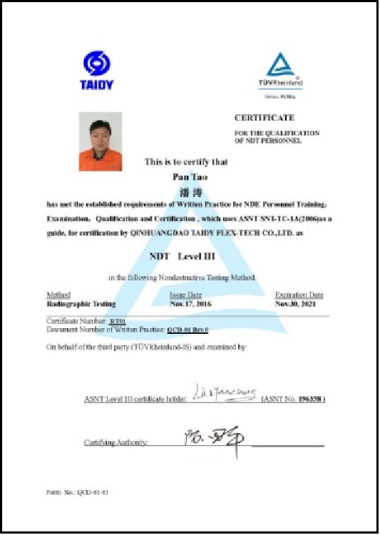 Taidy Portrait Certificate 3