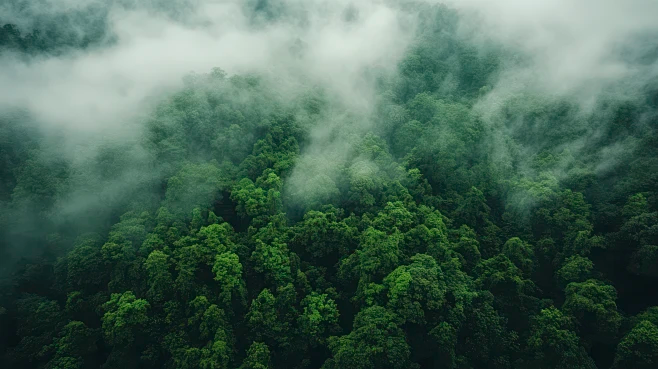 Planning & Natural Resources