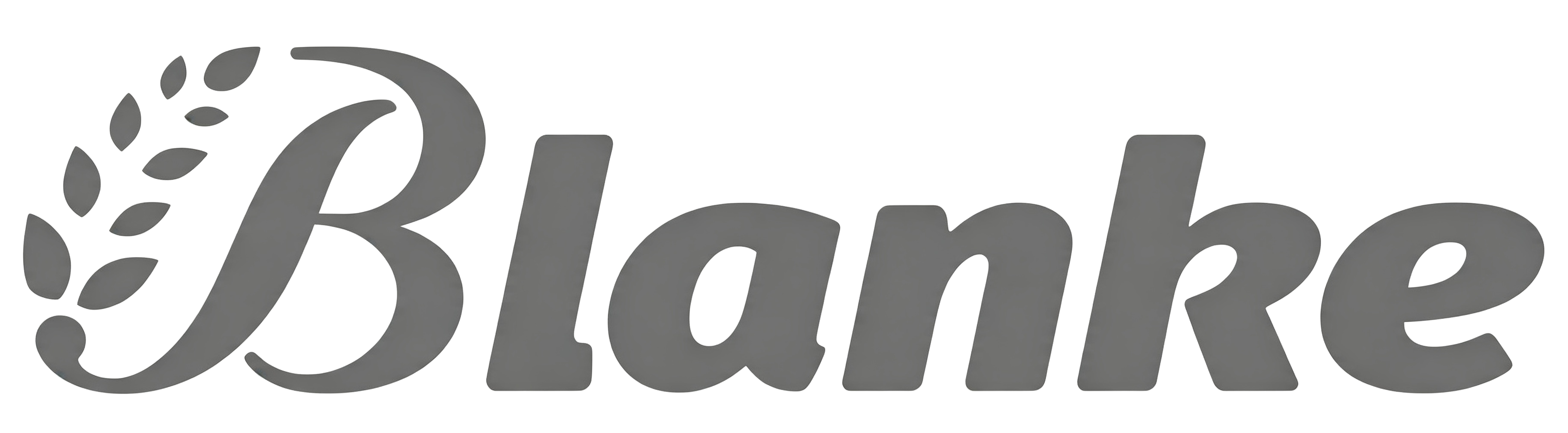 Partner Logo 29