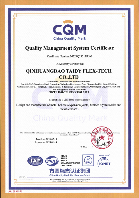 Taidy Certificate 2