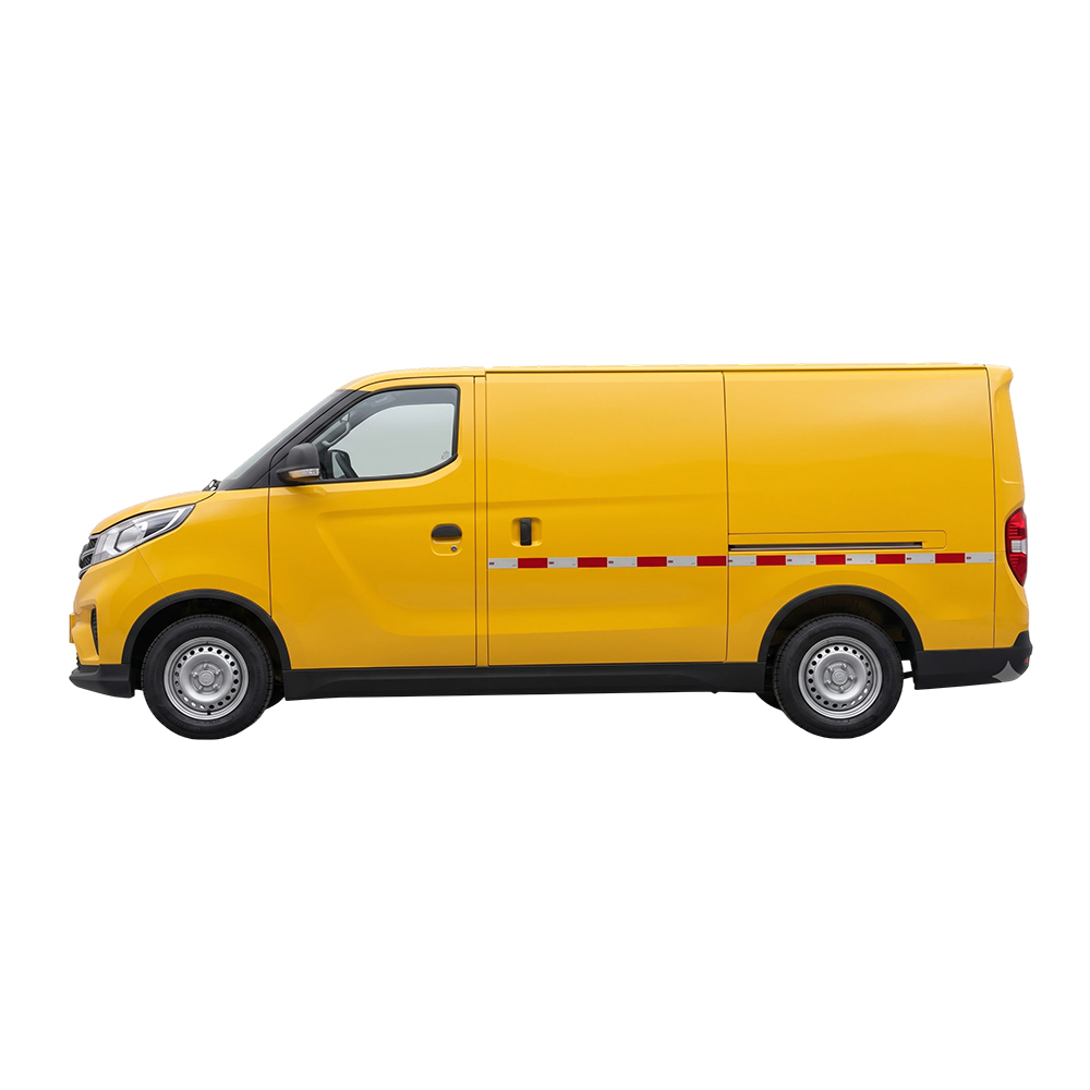 EV30 Logistics Van