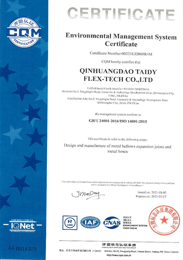 Taidy Certificate 7