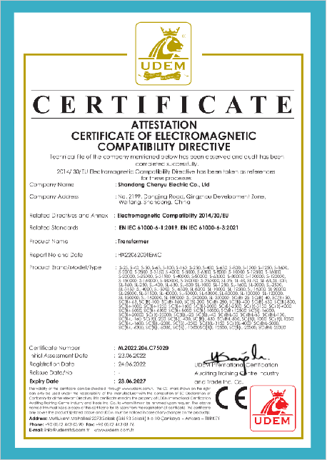 Portrait Certificate 2