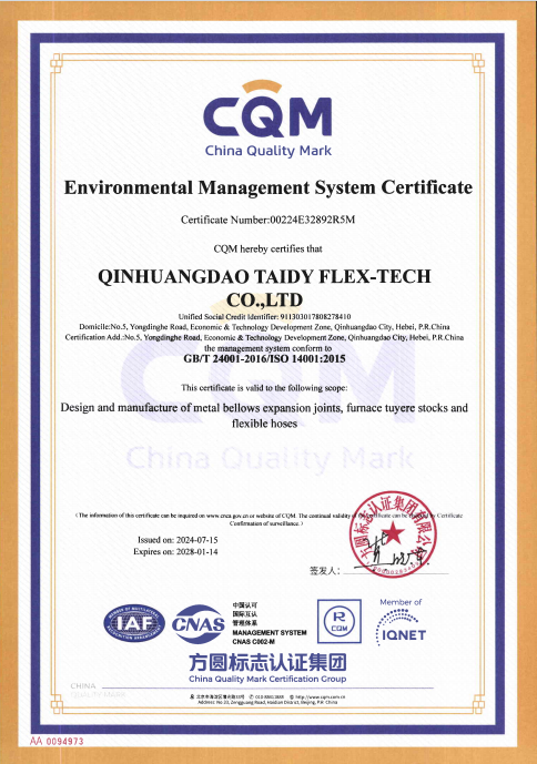 Taidy Certificate 1