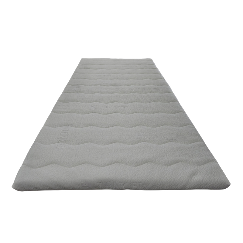Dual-Layer Spine Support Thin Mattress