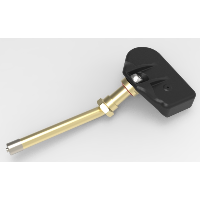 Commercial vehicle internal TPMS sensor T09