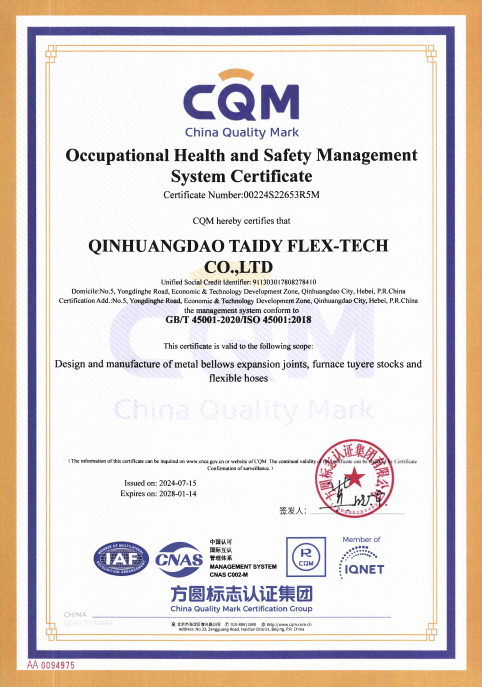 Taidy Certificate 3