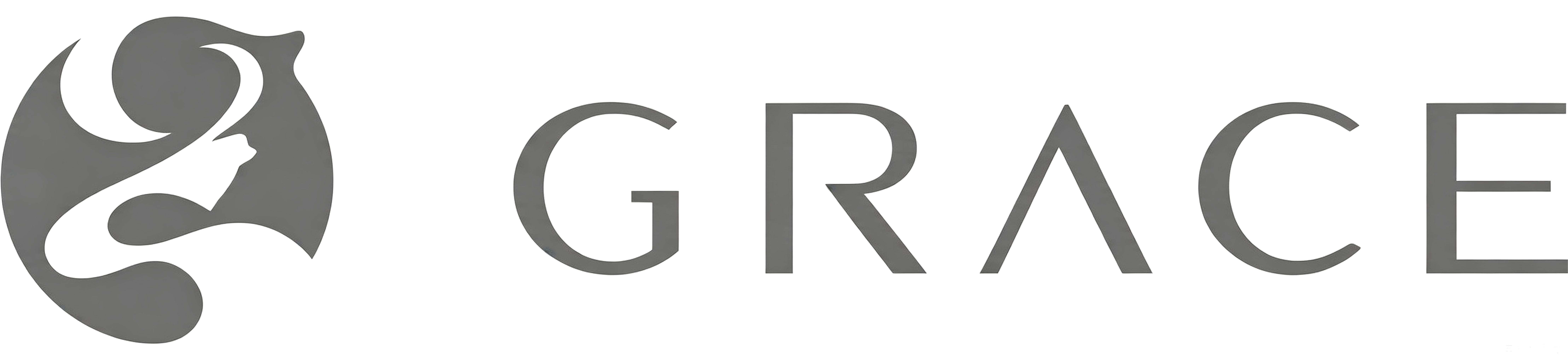 Partner Logo 21