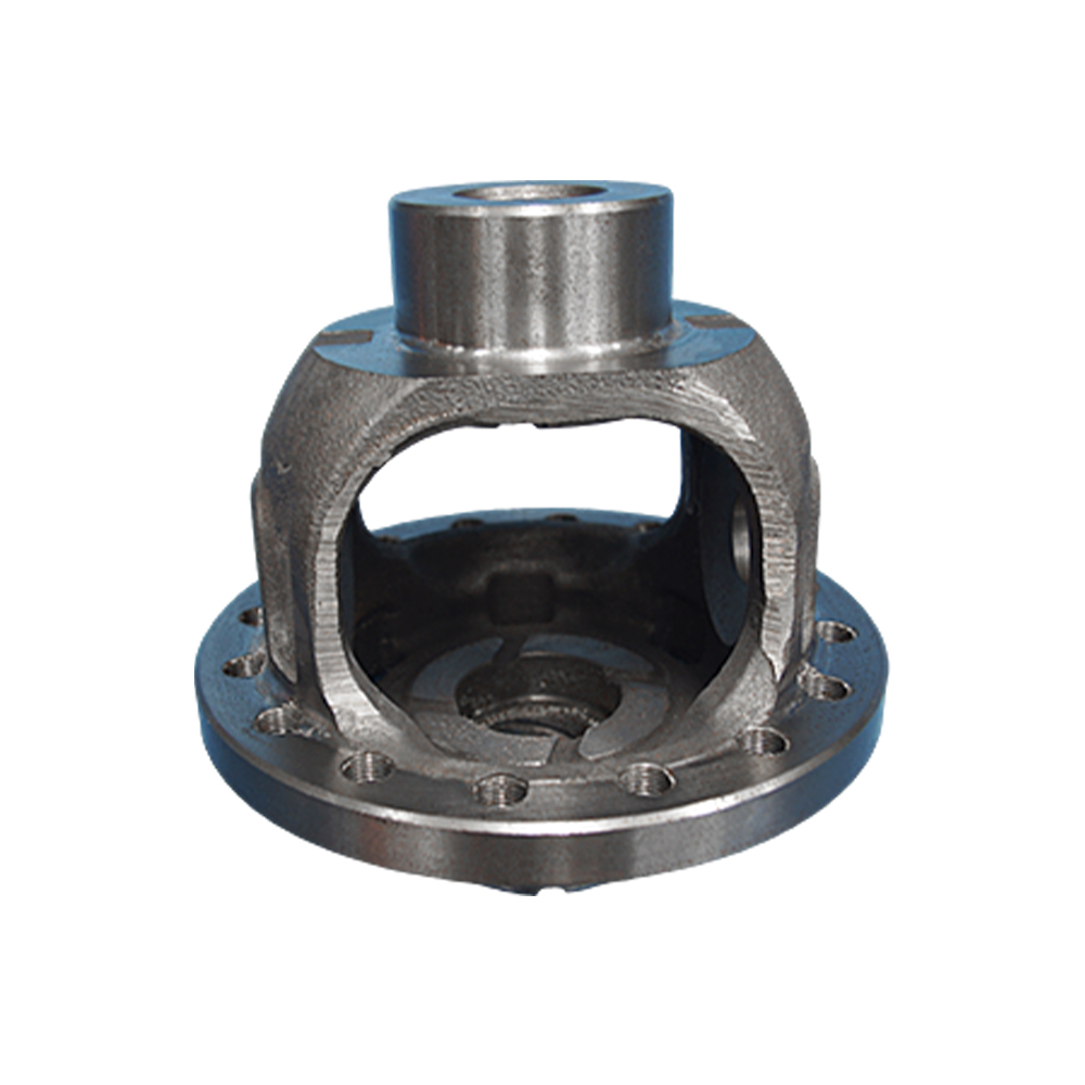 Differential Case 01