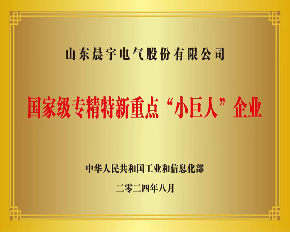 Chenyu Electric Selected as National Key 