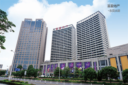 Electrical project for Dongguan Dalang Fuying Real Estate