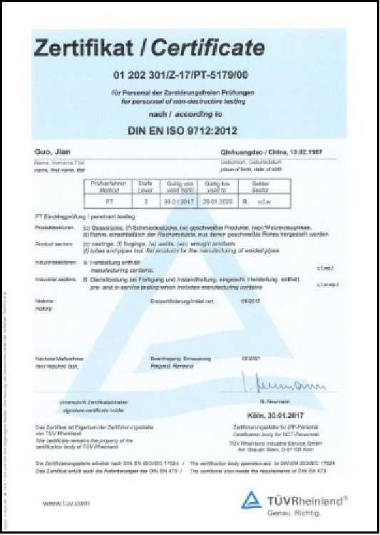 Taidy Portrait Certificate 2