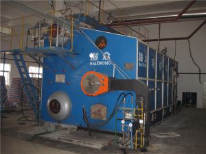 6T Coal-Water Slurry Boiler Installation