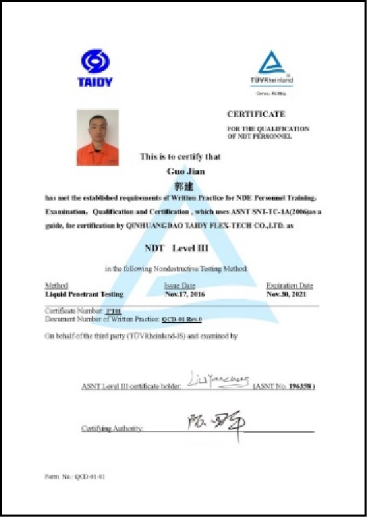 Taidy Portrait Certificate 4
