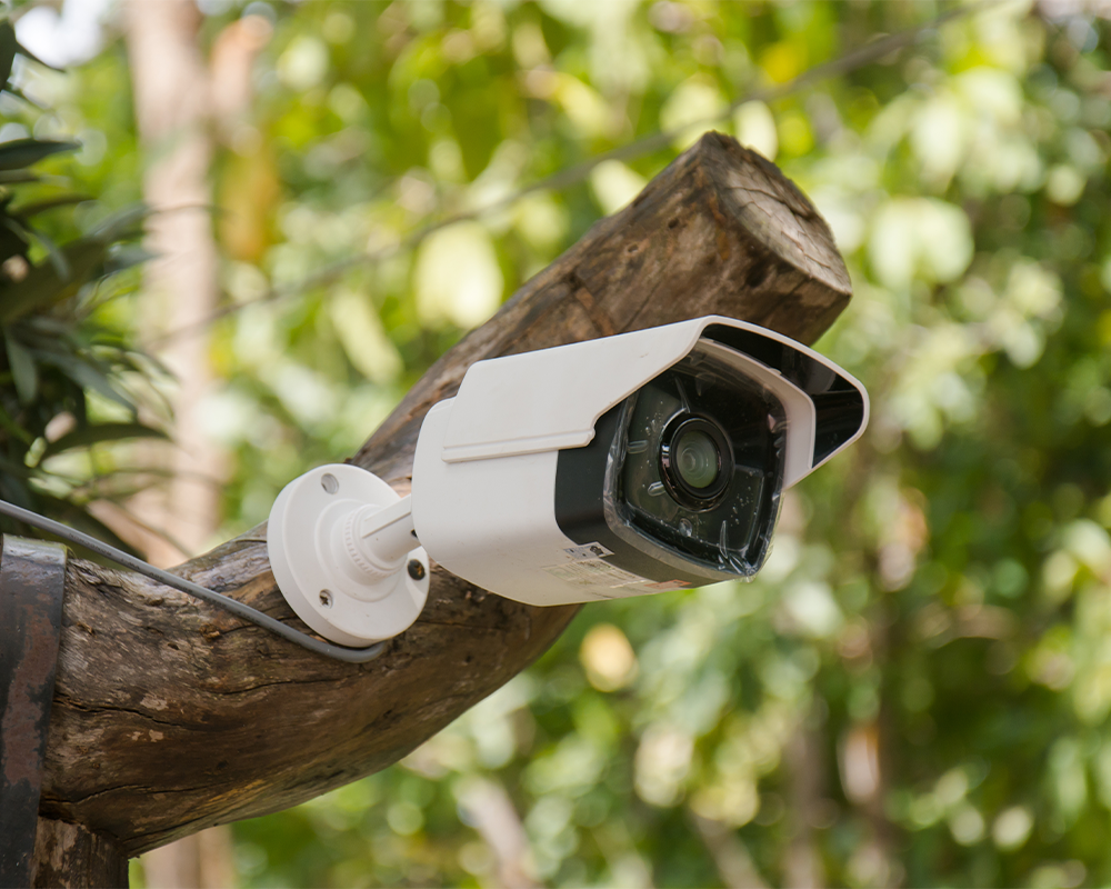 Forest Fire Prevention Case Study ——Gaopule Long-Range Multispectral Spherical PTZ Integrated Camera Helps Foping National Nature Reserve in Shaanxi