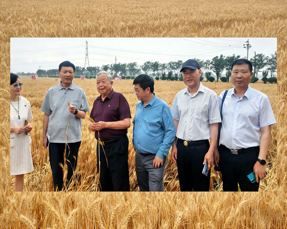 Guangxi Penshibao Group: Forging Ahead with New Quality Productive Forces to Lead the Trend of Green Agriculture