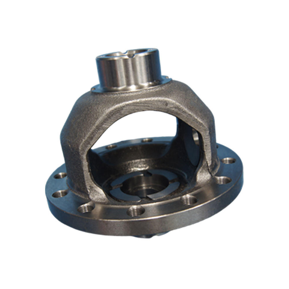 Differential Case 01