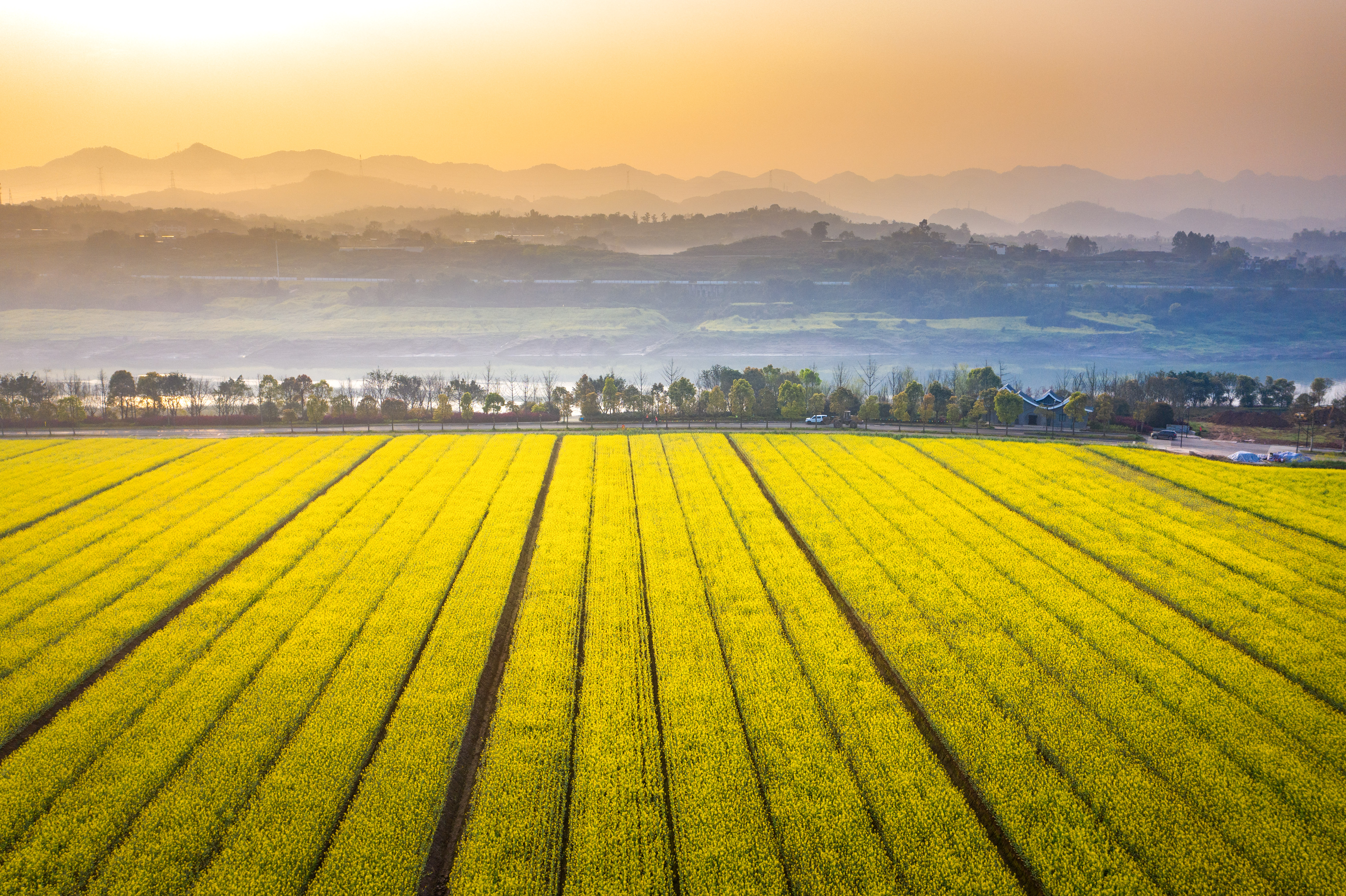 Agriculture