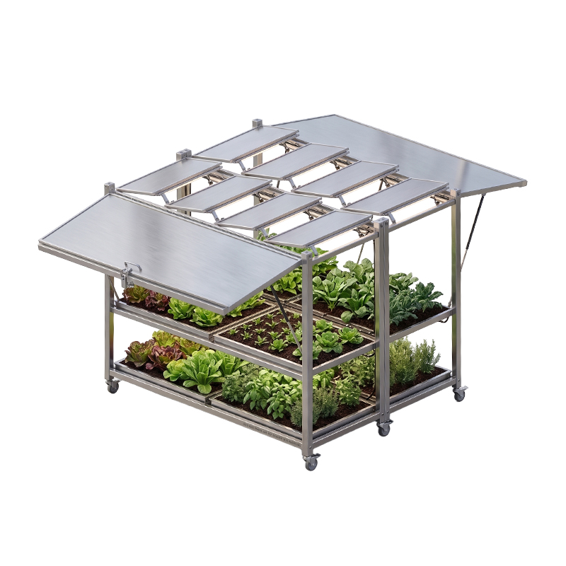 Vegetable Incubation Box