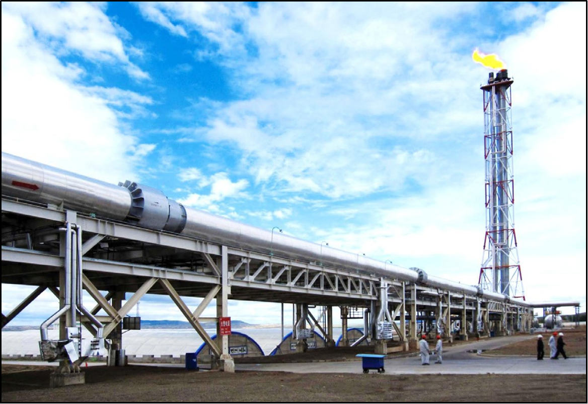 Expansion joint for torch system